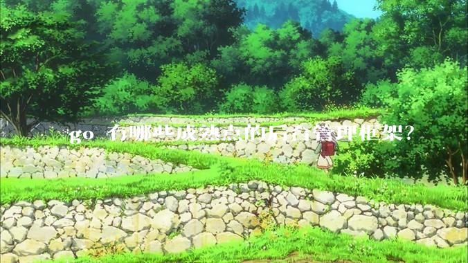 go 有哪些成熟点的后台管理框架？